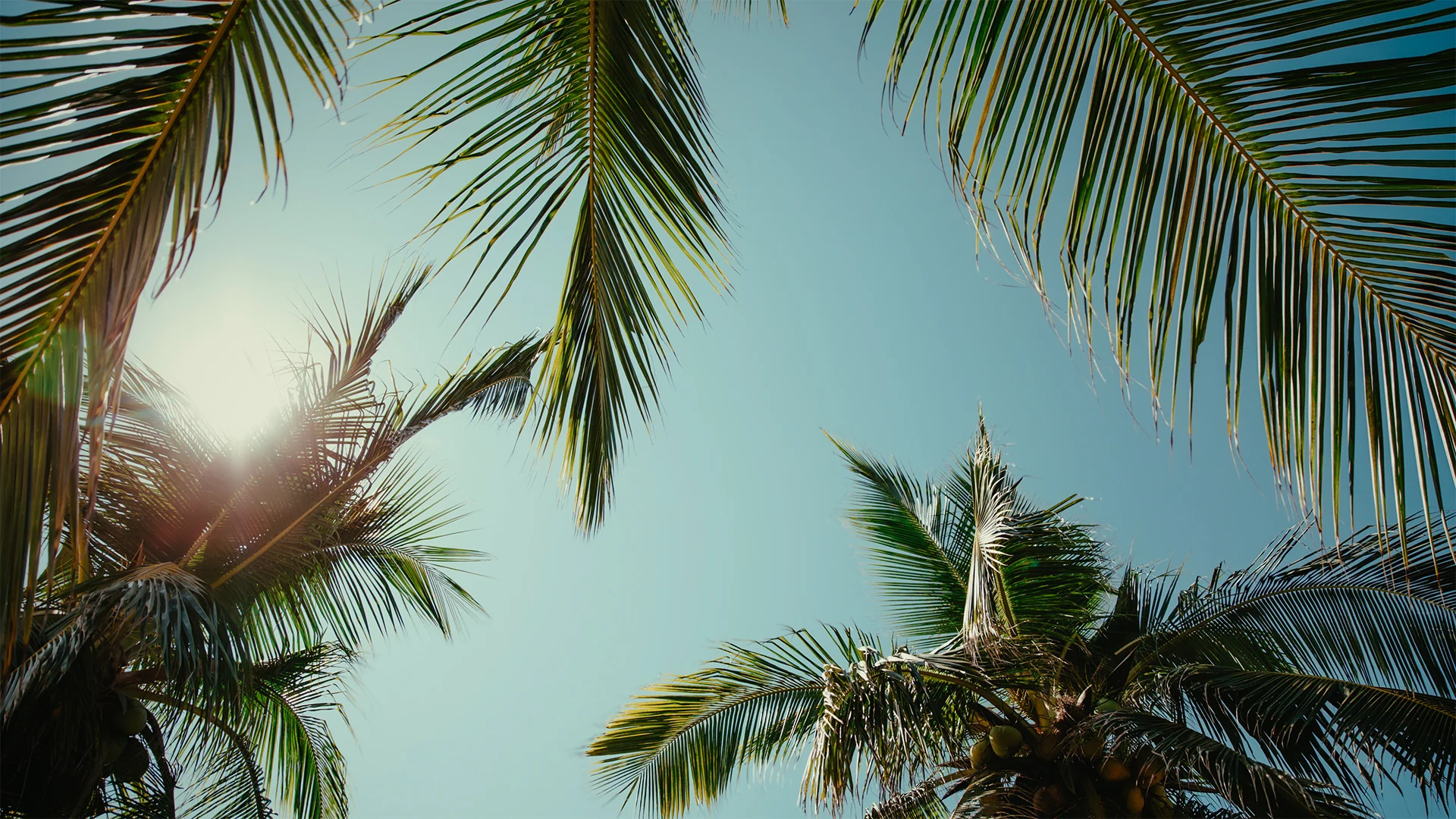 Elevated Essentials for Every Escape